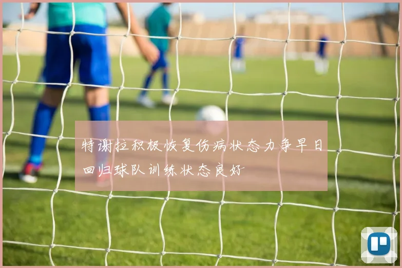 特谢拉积极恢复伤病状态力争早日回归球队训练状态良好