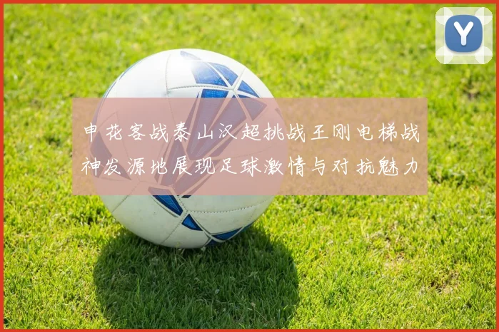 申花客战泰山汉超挑战王刚电梯战神发源地展现足球激情与对抗魅力